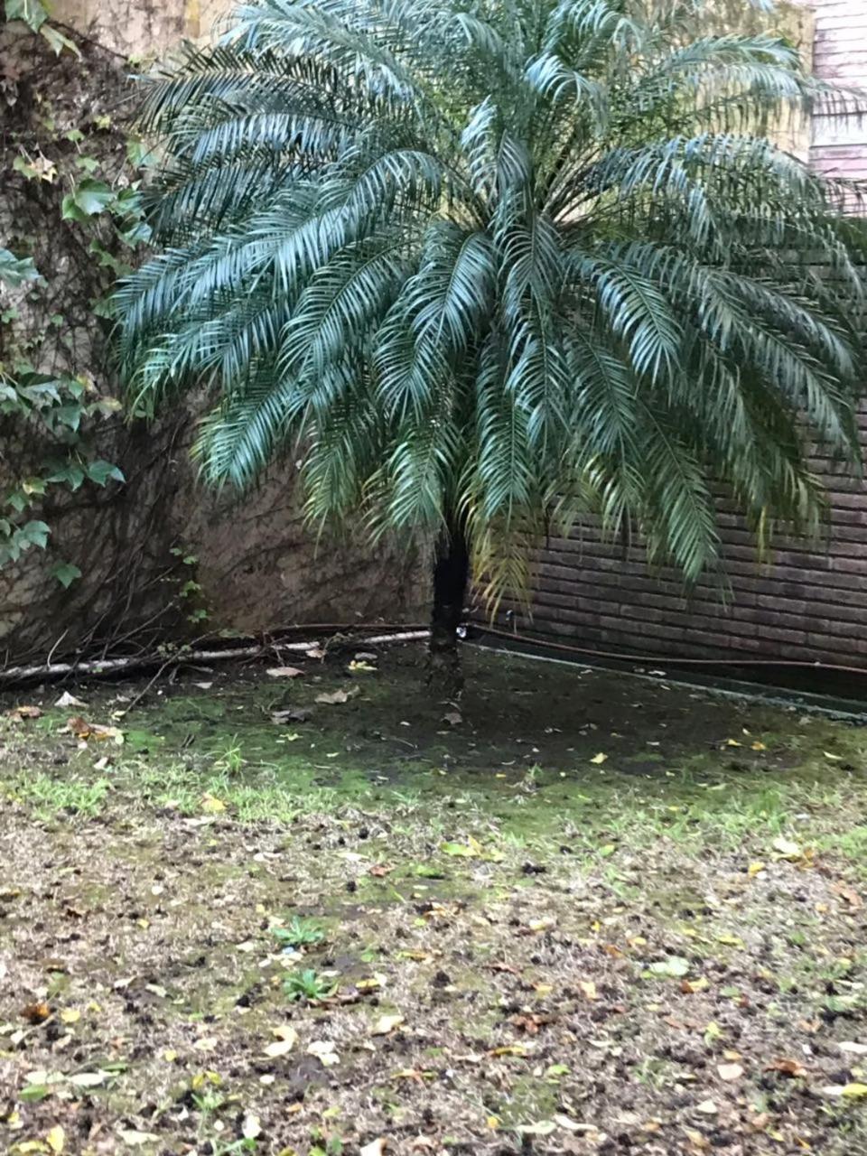 Amplio Dpto Con Jardin En El Centro De La Ciudad Lejlighed Rosario Eksteriør billede
